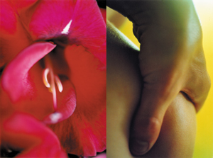 klassische-massage-ursula-hillinger